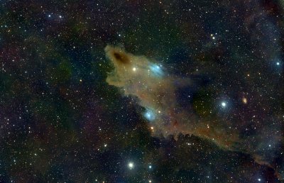 LDN 1235 - Dark Shark Nebulae